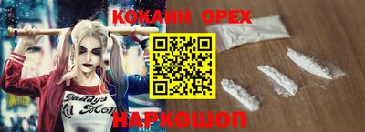гашик Нальчик
