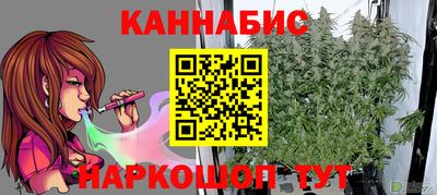 гашик Нальчик