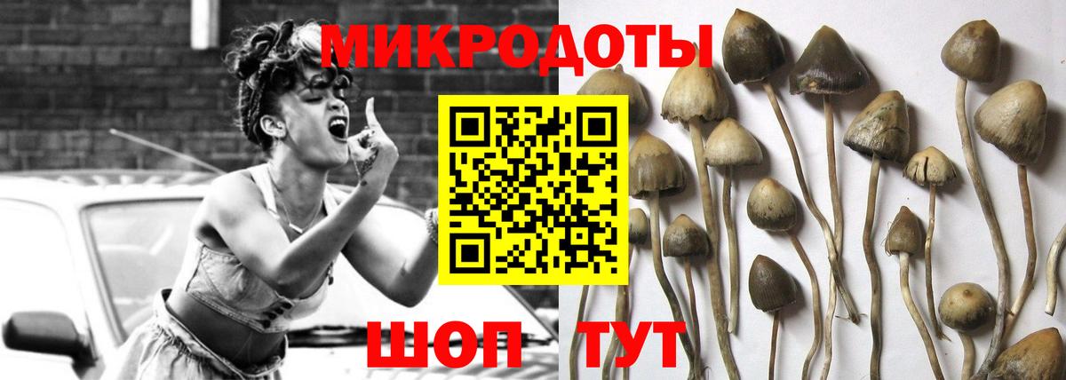 Галлюциногенные грибы прущие грибы Тельмана